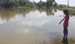 Thương tâm cảnh 3 học sinh chết đuối ôm chặt lấy nhau