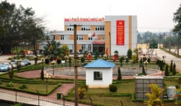 Rơi từ tầng 4, Tổng giám đốc nội thất Xuân Hòa tử vong