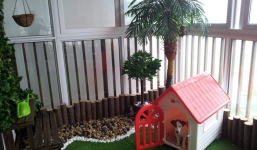 Đại gia Việt chi triệu đồng cho thú 'cưng' ở khách sạn sang