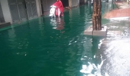 Nước ngập xanh như bể bơi ở Hà Nội: Nguyên nhân hiện tượng lạ
