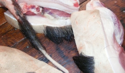 Hà Nội : Thịt lợn nguyên lông giá đắt gấp đôi