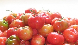 Trái sơ ri và những công dụng bất ngờ đối với sức khỏe