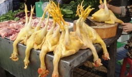 Video: Những dấu hiệu giúp nhận biết thịt gà bị nhuộm hóa chất vàng da