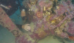 Video: Tìm thấy xác máy bay gặp nạn dưới đáy biển sau 72 năm