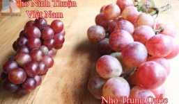 Cách nhận biết hoa quả Trung Quốc cực đơn giản