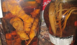 Thương lái bán 'thần dược' giả trăm triệu đồng