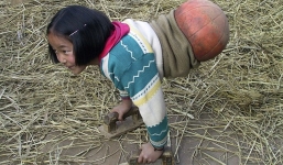 Hành trình trở thành nhà vô địch của 'Cô gái bóng rổ' không chân