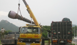 Thương lái 'lùng sục' thốt nốt, bán 2 triệu/cây