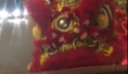 Video: Múa lân chặn đầu ô tô xin tiền tại Hà Nội