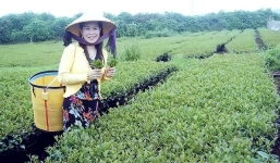 Tiết lộ nguyên nhân nữ doanh nhân tử vong tại Trung Quốc