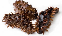 Hải sâm và những tác dụng 'vàng' cho sức khỏe