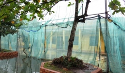 Vụ học sinh bị điện giật: Nhà trường không thừa nhận nguyên nhân