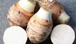 Khoai môn và những tác dụng bất ngờ cho sức khỏe