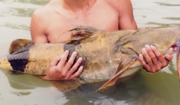 'Liều mạng' săn bắt đặc sản biển tiền triệu bán cho đại gia