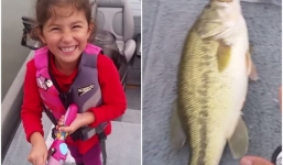 Bé gái 5 tuổi câu được con cá lớn bằng cần câu đồ chơi