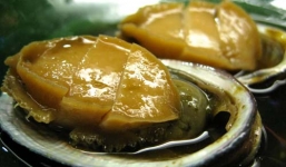 Bào ngư, cá ngựa khô chục triệu đồng ở Phú Quốc