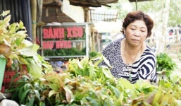 Kiếm nửa triệu đồng/ngày trên “nóc nhà” miền Tây