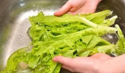 Rau sống và cách rửa rau sống sạch, an toàn