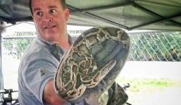 Phát hiện trăn khủng trong đống quần áo giữa chợ trời