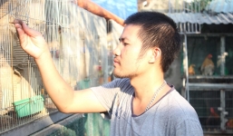 Trưởng phòng bỏ việc nuôi gà, thu gần 100 triệu/tháng