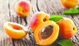 Quả mơ và những tác dụng “vàng” đối với sức khỏe