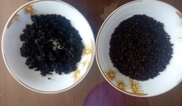 Nghi vấn gạo giả xuất hiện tại TP.HCM: Hạt gạo có mùi khét giống nhựa