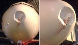 Máy bay hãng Vietjet gặp tai nạn hi hữu