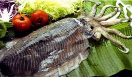 Cá mực - lợi ích và bài thuốc quý chữa bệnh ít người biết