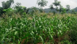 Chồng đòi 'quan hệ' bị vợ chém nhập viện