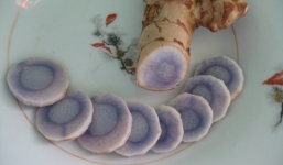 Nghệ đen và những bài thuốc chữa bệnh hiệu quả