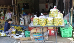 Hồng Đà Lạt mua 2.000 đồng/kg, bán ra 35.000 đồng/kg