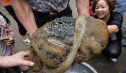 Bắt được 'quái vật'  là nấm linh chi hàng chục tỷ