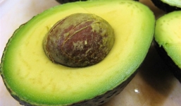 Hạt quả bơ và lợi ích bất ngờ ít biết