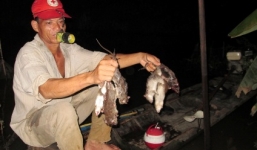 “Săn” chuột đồng kiếm bộn tiền mùa lũ