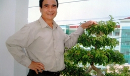 Tỷ phú đại ngàn kiếm chục tỷ từ sâm quý