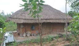 Đại gia bỏ biệt thự triệu đô, về quê ở nhà lá 500 triệu