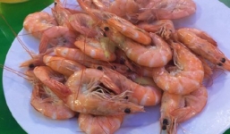 Thực khách “hoảng” với hóa đơn 5 triệu đồng/đĩa tôm