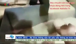 Sự thật dây chuyền sản xuất gạo nhựa ở Hưng Yên