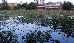 Phát hiện thi thể đang phân hủy dưới hồ sen