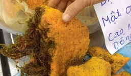 Mật ong hóa đá giá gần triệu/kg