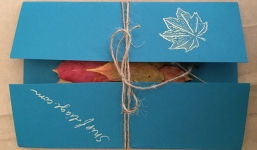 Bán 3 chiếc lá khô, thu 450.000 đồng