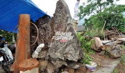 Gù hương hàng tỷ đồng hút hồn đại gia