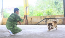 Thu trăm triệu nhờ dạy ngoại ngữ cho chó