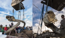 Xương voi ma mút khổng lồ được nông dân phát hiện tại Mỹ