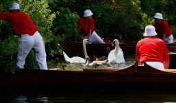 5 nghề lạ lùng tồn tại lâu nhất trên thế giới (Phần 1)