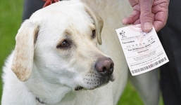 Hai lần trúng số tiền tỷ trong 1 tuần nhờ... chó cưng