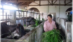 Nhân vật người chăn bò trong 'Cỏ non', 'Gặp anh Hồ Giáo' đã qua đời