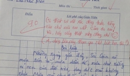 Bài văn viết về mẹ của nữ sinh Sài thành khiến nhiều người giật mình