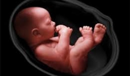 Sau khi nhập viện, thai nhi chết, sản phụ phải cắt một phần tử cung