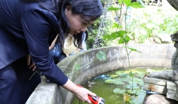 Bộ trưởng Bộ Y tế đi 'vi hành' đến nhà dân để diệt lăng quăng